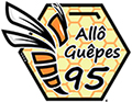 Allo Guêpes 95